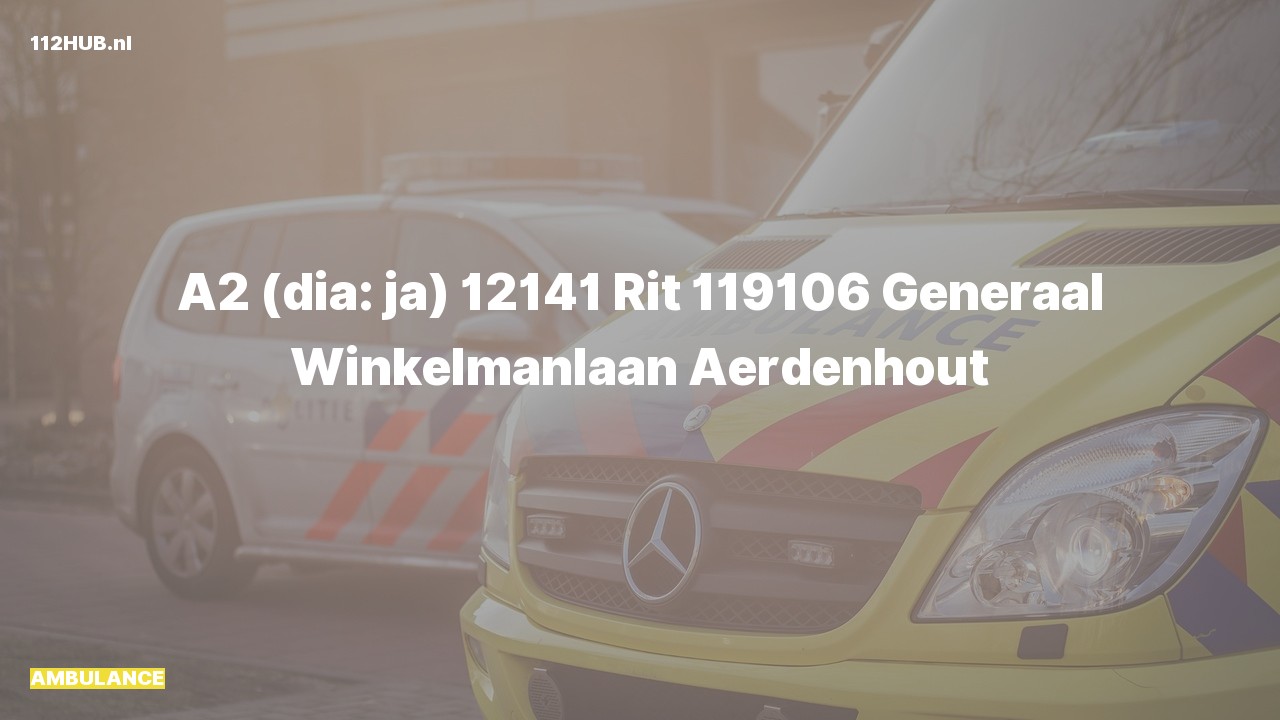 Deelafbeelding voor Ambulance met gepaste spoed naar de Generaal Winkelmanlaan in Aerdenhout.
