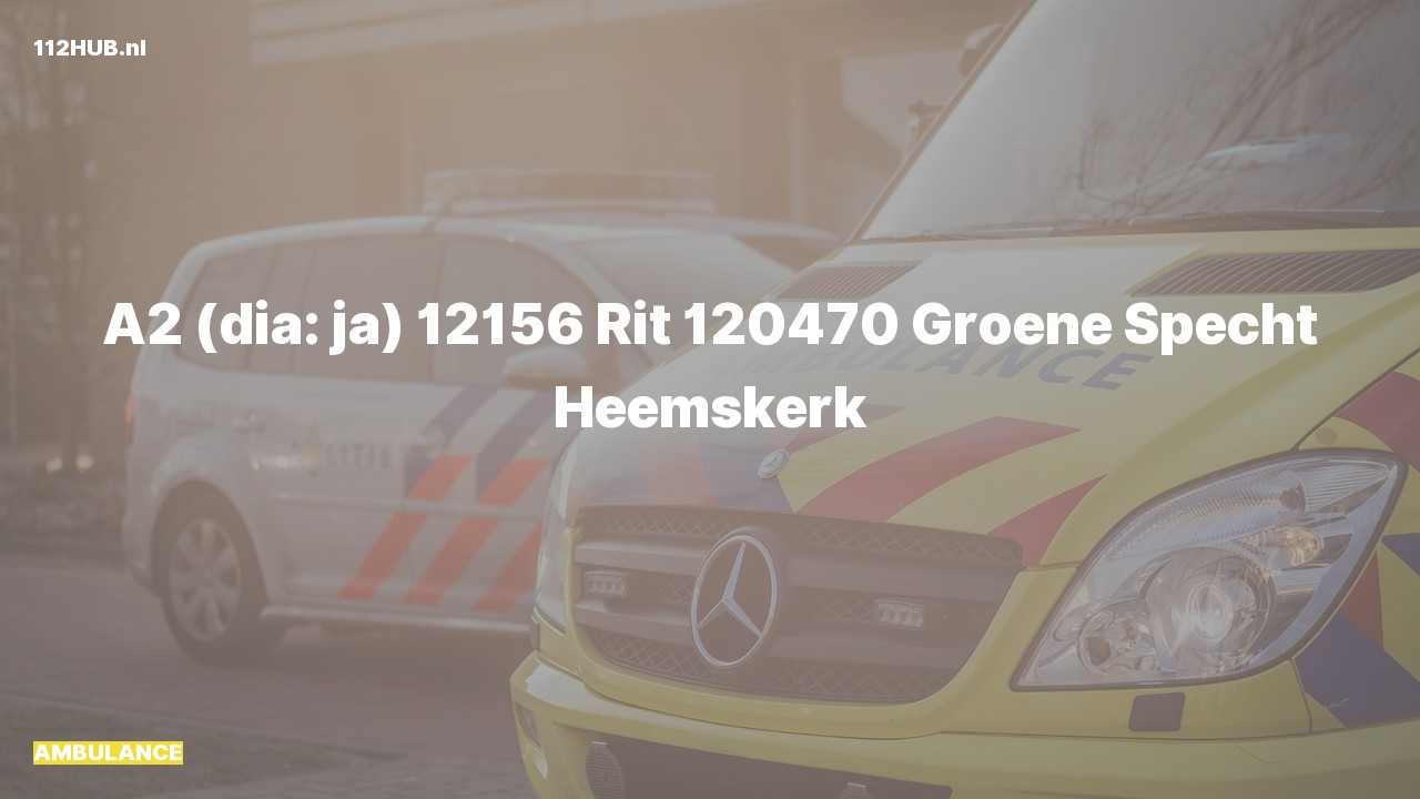 Deelafbeelding voor Ambulance met gepaste spoed naar de Groene Specht in Heemskerk.