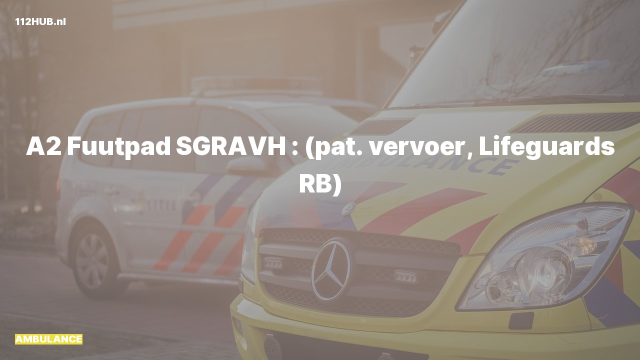Deelafbeelding voor Ambulance met gepaste spoed.