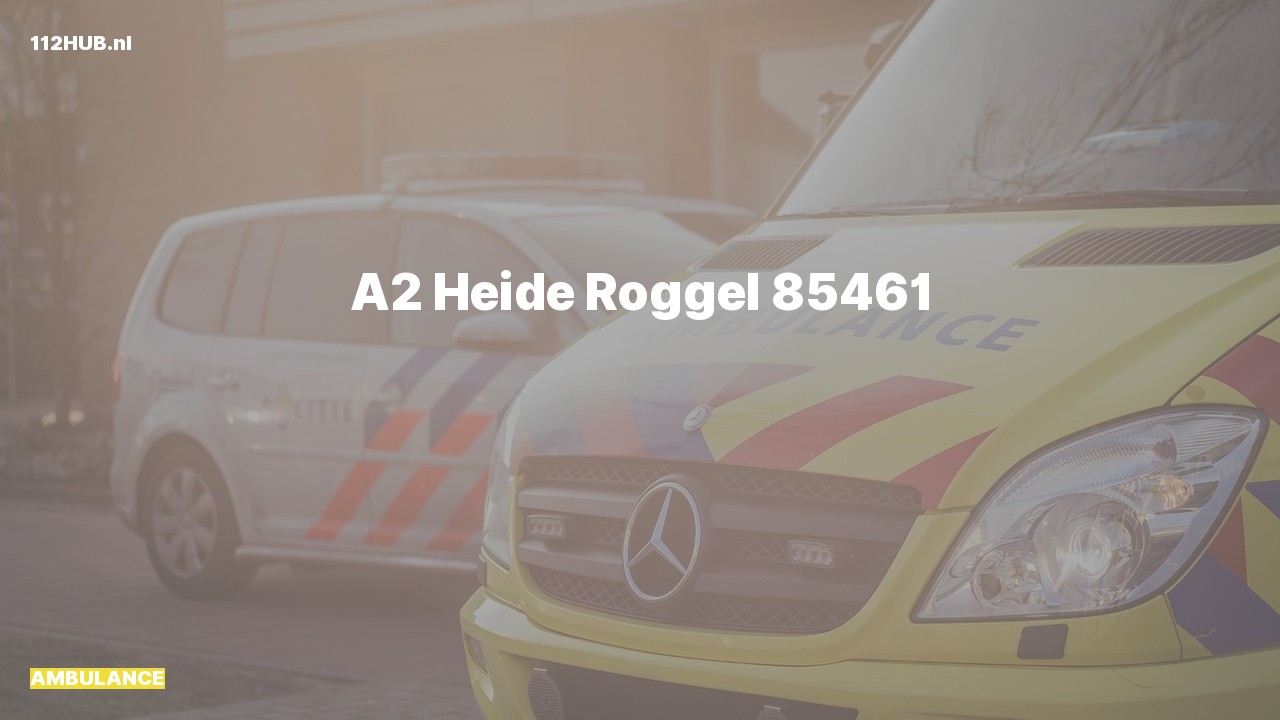 Deelafbeelding voor De ambulance is met gepaste spoed uitgerukt naar de Heide in Roggel