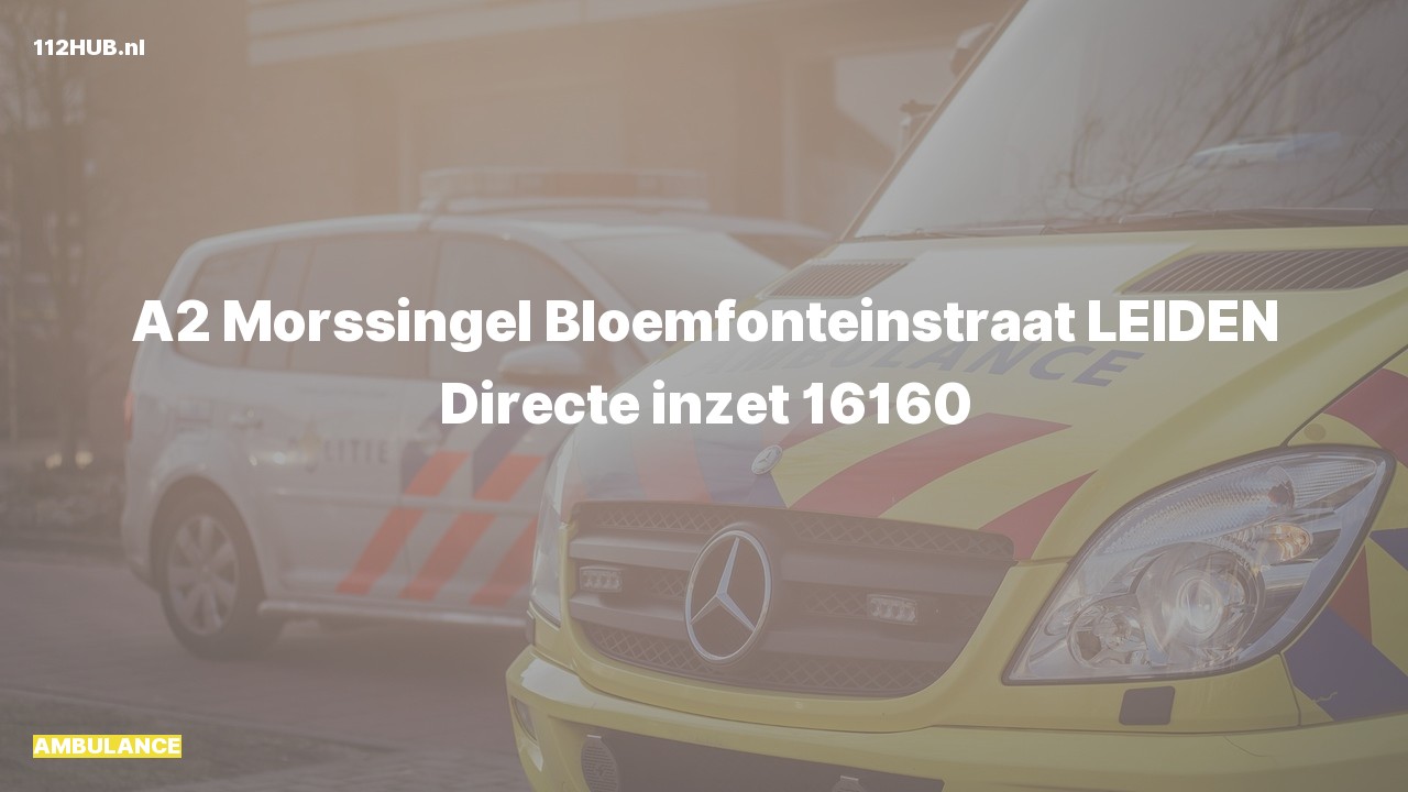 Deelafbeelding voor Ambulance met gepaste spoed naar de Bloemfonteinstraat in Leiden.