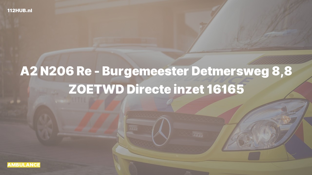 Deelafbeelding voor De ambulance is met gepaste spoed uitgerukt op de N206 bij hectometerpaaltje 8.8