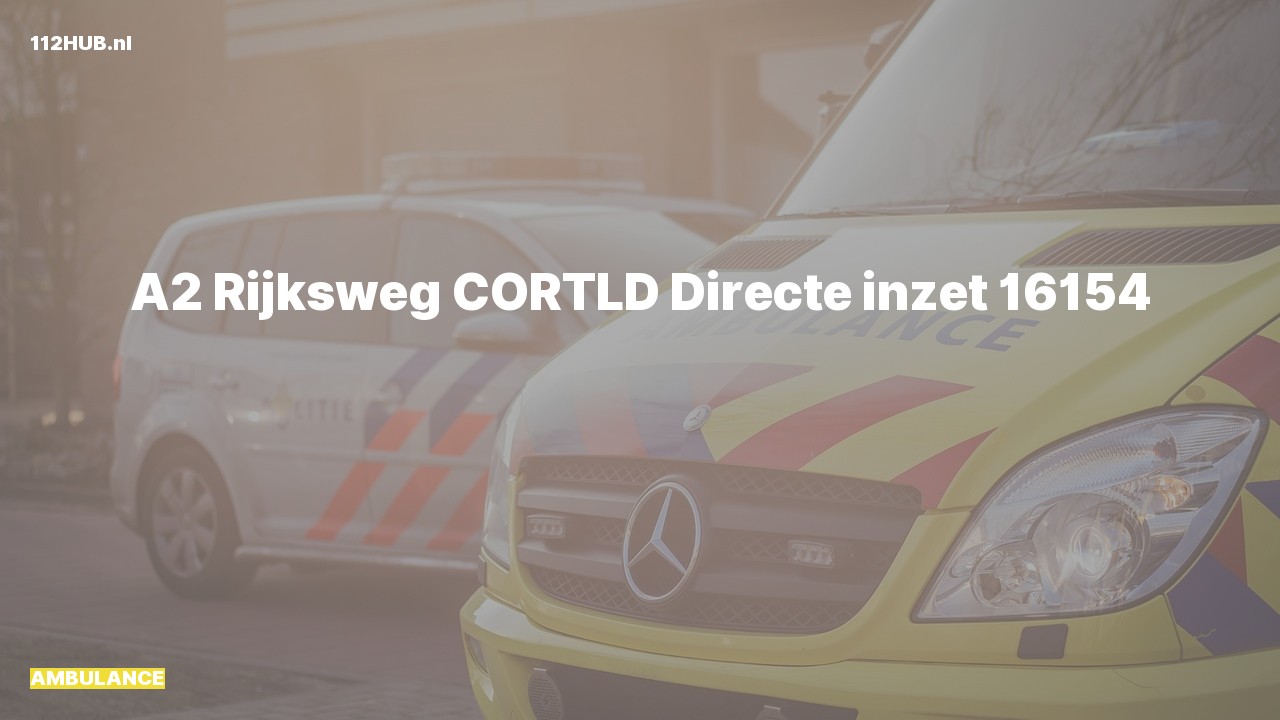 Deelafbeelding voor De ambulance is met gepaste spoed uitgerukt