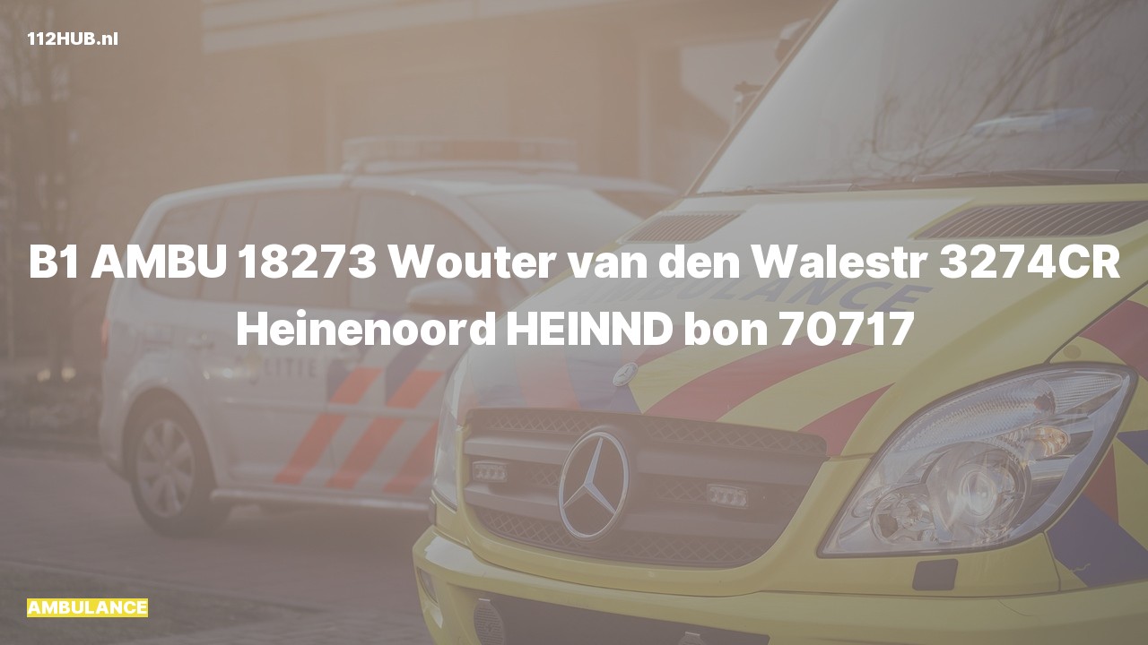 Deelafbeelding voor De ambulance is uitgerukt naar de Wouter van den Walestr in Heinenoord