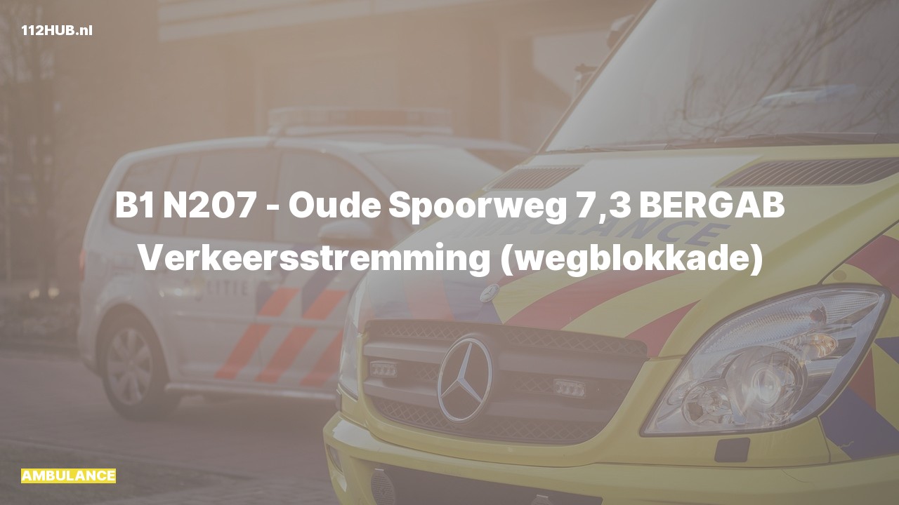 Deelafbeelding voor De ambulance is met gepaste spoed uitgerukt op de N207 bij hectometerpaaltje 7.3