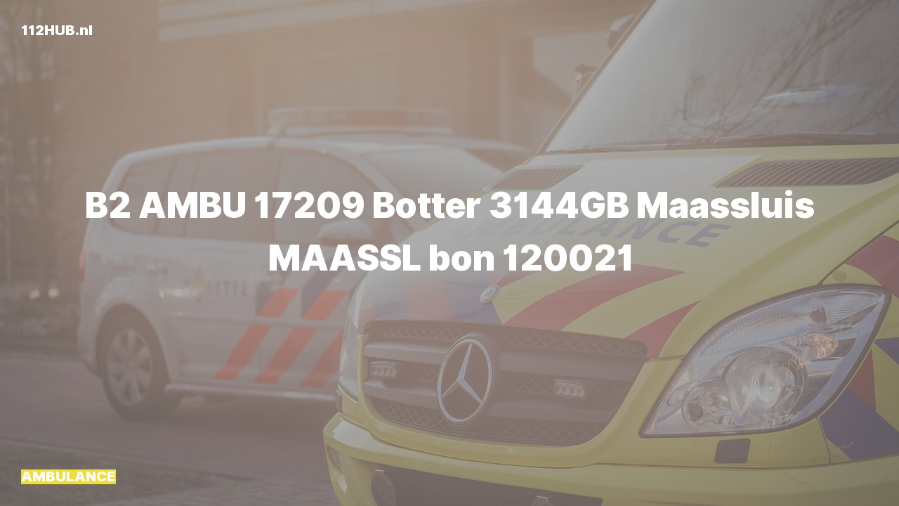 Deelafbeelding voor Ambulance naar de Botter in Maassluis.