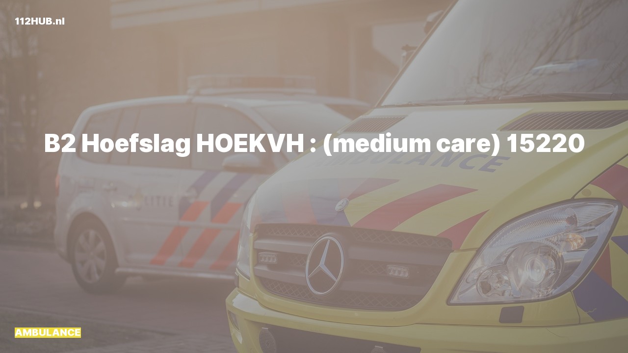 Deelafbeelding voor Ambulance naar de Hoefslag in Hoek van Holland.