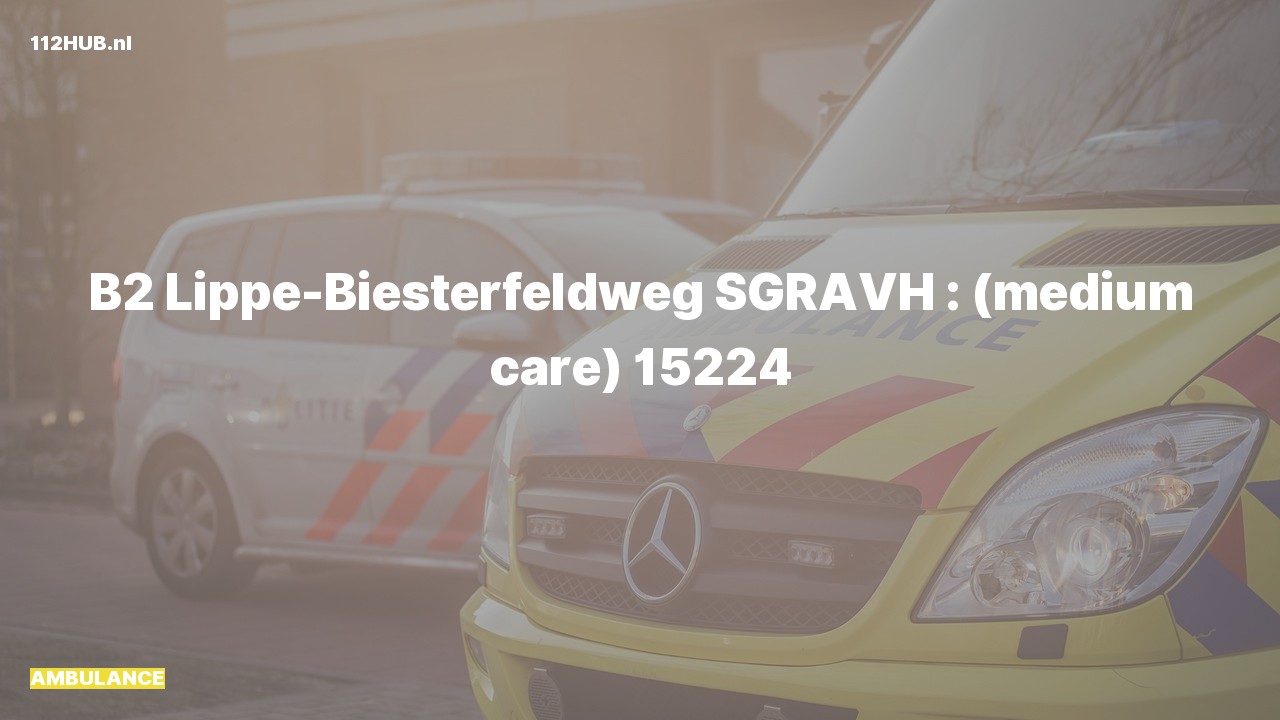 Deelafbeelding voor Ambulance naar de Lippe-Biesterfeldweg in 's-Gravenhage.