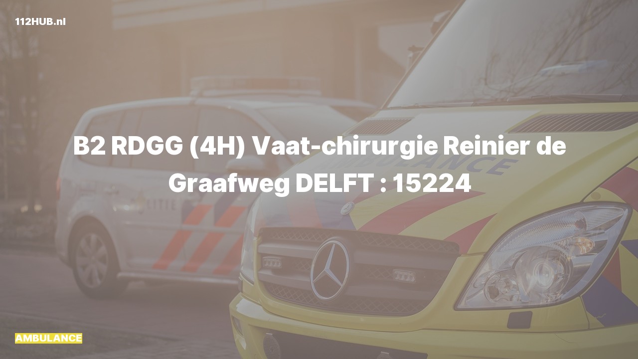 Deelafbeelding voor Ambulance naar de Reinier de Graafweg in Delft.