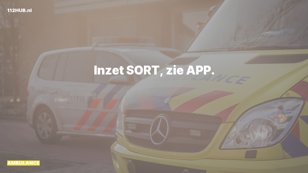 Deelafbeelding voor De ambulance is uitgerukt
