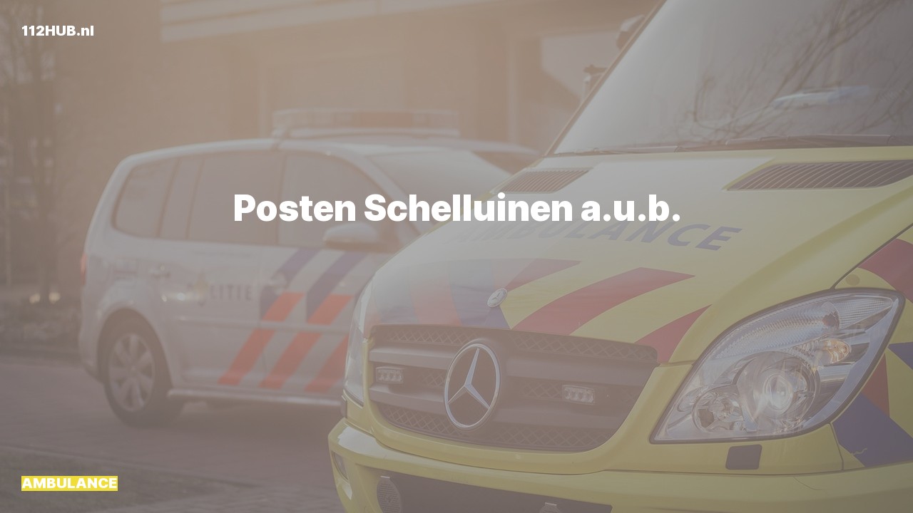Deelafbeelding voor Ambulance.