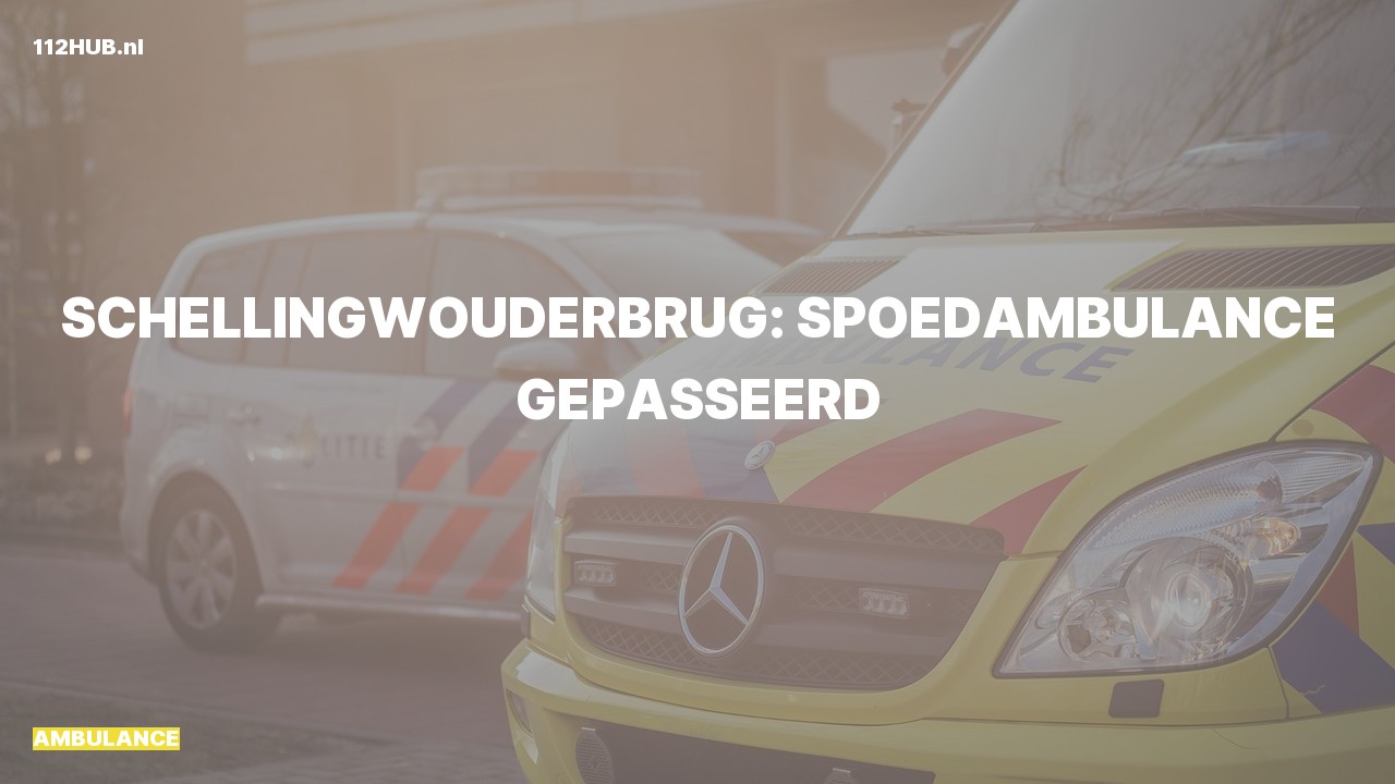 Deelafbeelding voor Ambulance spoed ambulance.