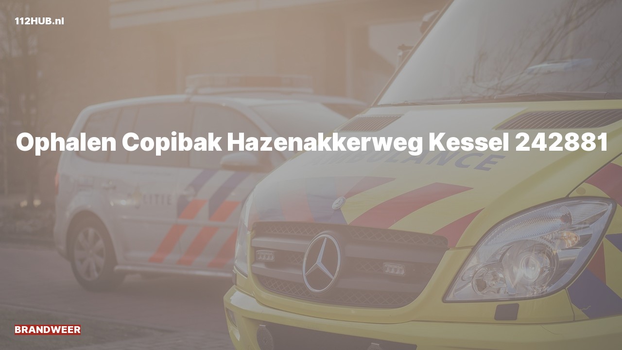 Deelafbeelding voor De brandweer is uitgerukt naar de Hazenakkerweg in Kessel