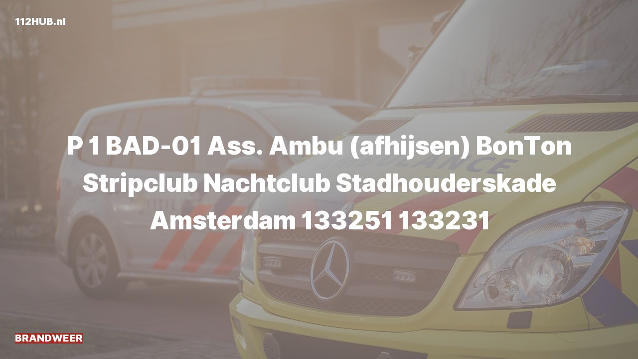Deelafbeelding voor De brandweer is met spoed uitgerukt voor afhijsen naar de Stadhouderskade in Amsterdam