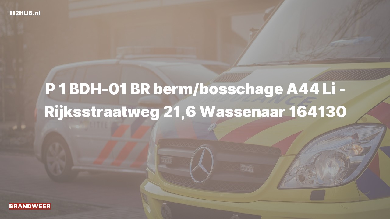 Deelafbeelding voor Brandweer met spoed op de A44 bij hectometerpaaltje 21.6.