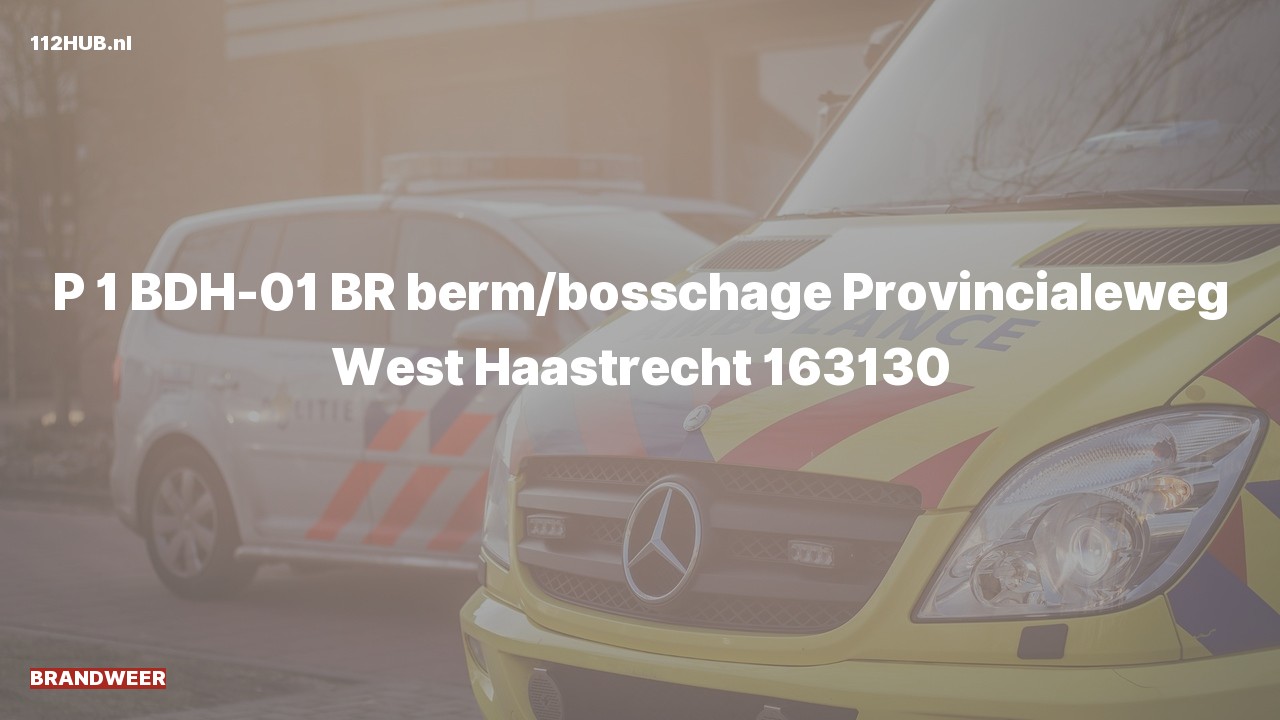 Deelafbeelding voor Brandweer met spoed naar de Provincialeweg West in Haastrecht.