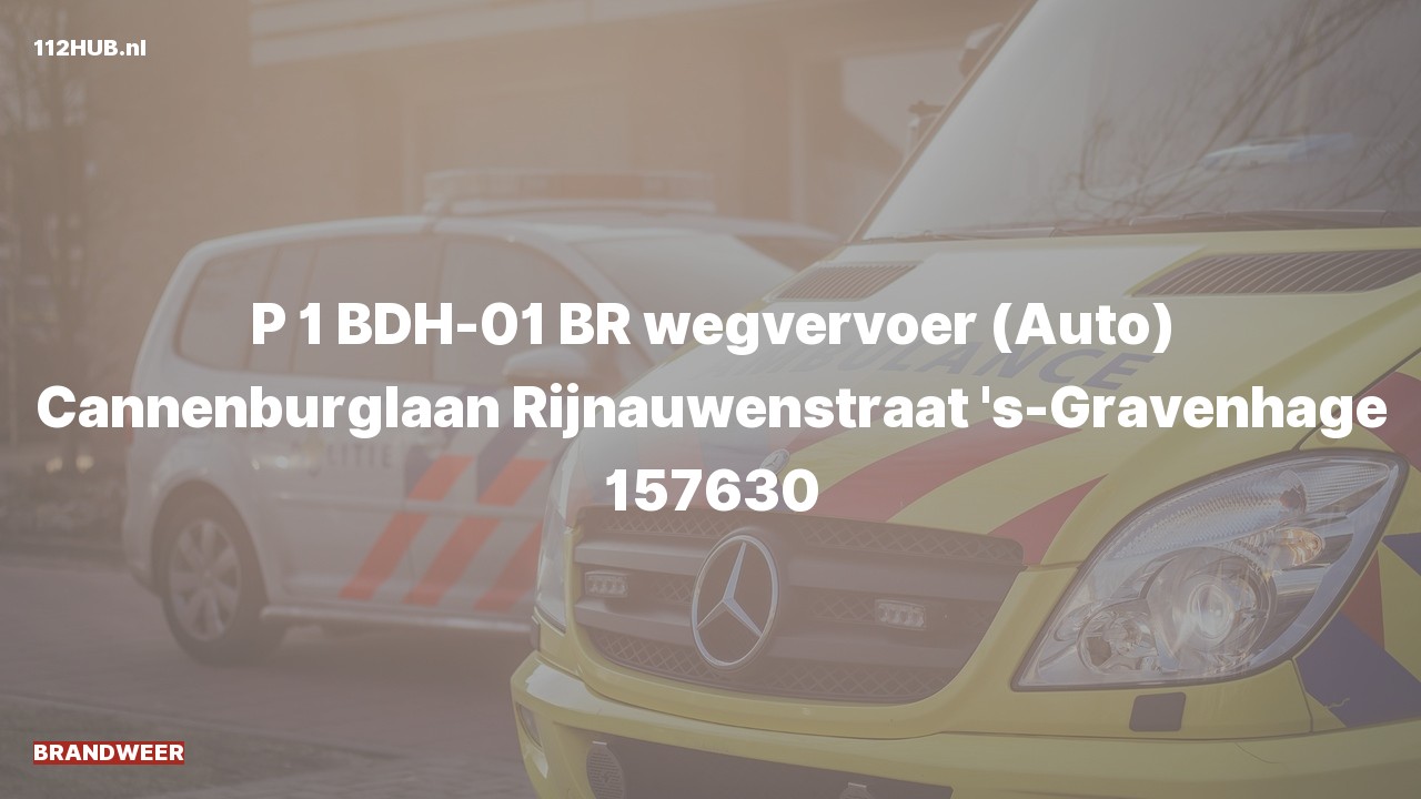 Deelafbeelding voor De brandweer is met spoed uitgerukt voor een brand naar de Rijnauwenstraat in 's-Gravenhage