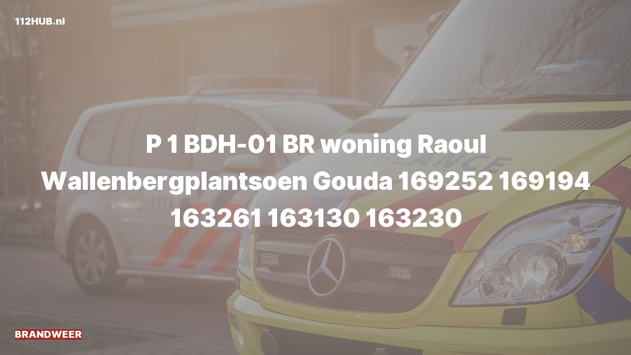 Deelafbeelding voor De brandweer is met spoed uitgerukt voor een woningbrand naar de Raoul Wallenbergplantsoen in Gouda