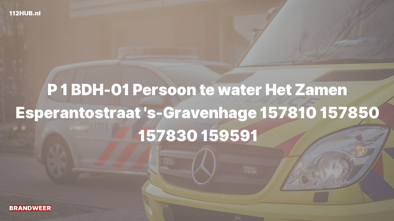 Deelafbeelding voor De brandweer is met spoed uitgerukt voor een persoon te water naar de Esperantostraat in 's-Gravenhage