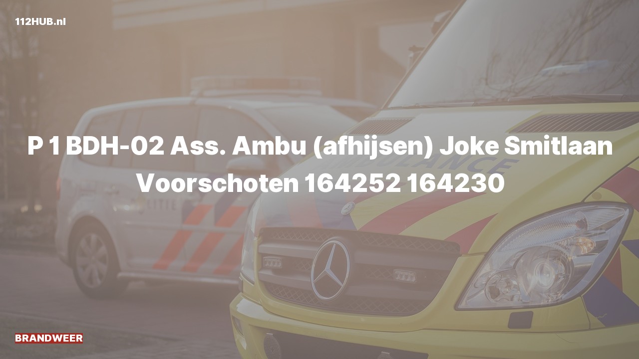 Deelafbeelding voor Brandweer met spoed voor afhijsen naar de Joke Smitlaan in Voorschoten.