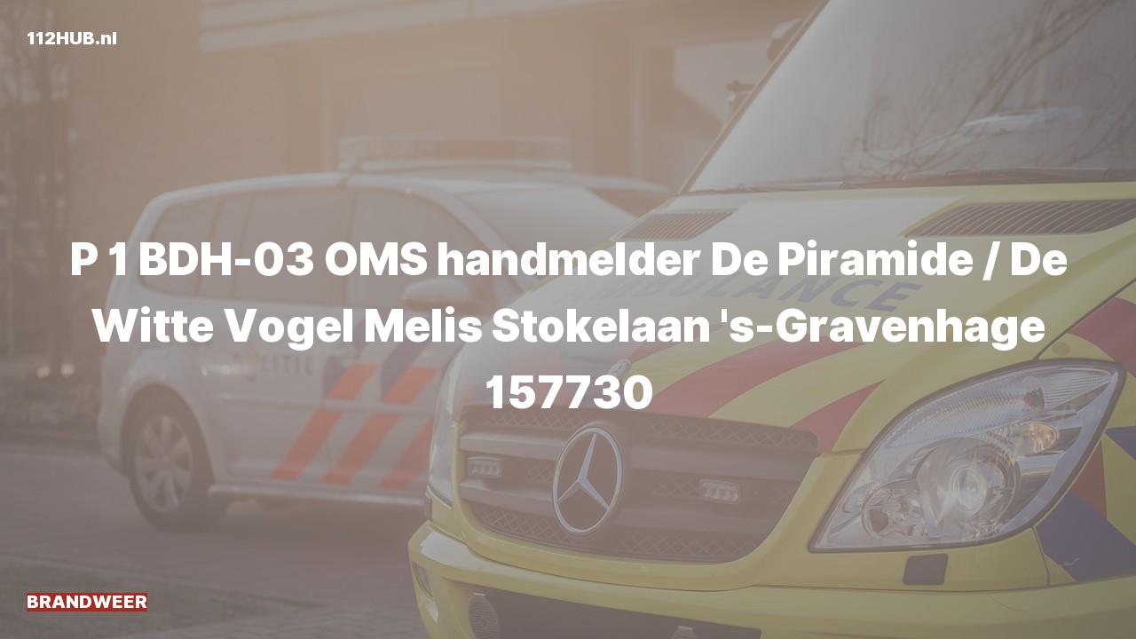 Deelafbeelding voor Brandweer met spoed naar de Melis Stokelaan in 's-Gravenhage.