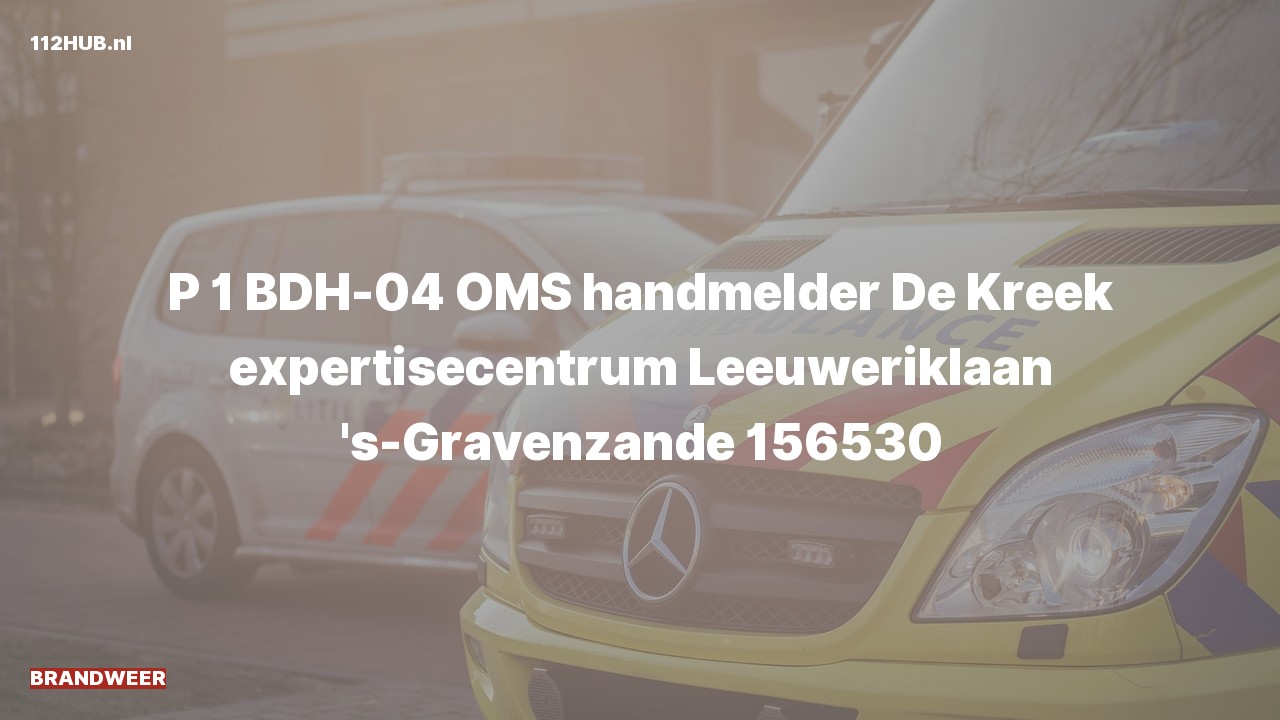 Deelafbeelding voor De brandweer is met spoed uitgerukt naar de Leeuweriklaan in 's-Gravenzande