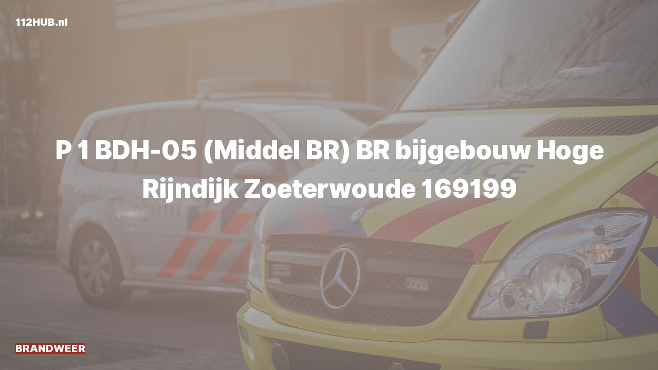 Deelafbeelding voor Brandweer met spoed naar de Hoge Rijndijk in Zoeterwoude.