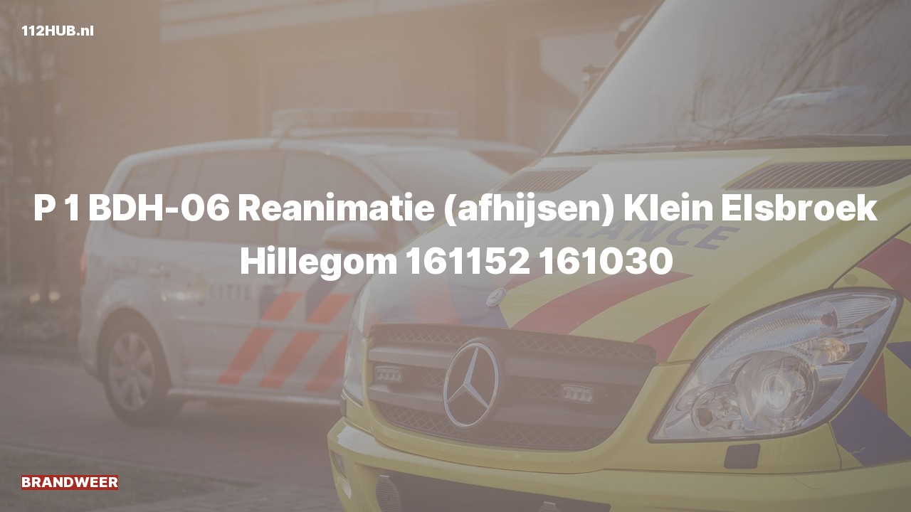 Deelafbeelding voor Brandweer met spoed voor afhijsen naar de Klein Elsbroek in Hillegom.