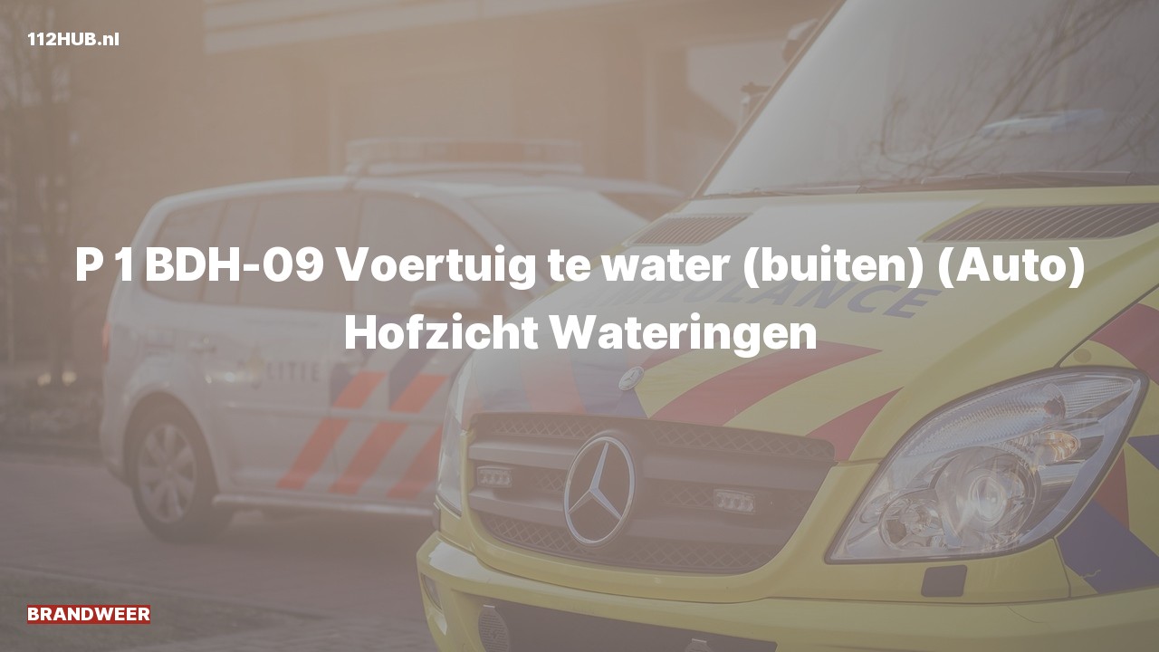 Deelafbeelding voor De brandweer is met spoed uitgerukt voor een persoon te water naar de Hofzicht in Wateringen