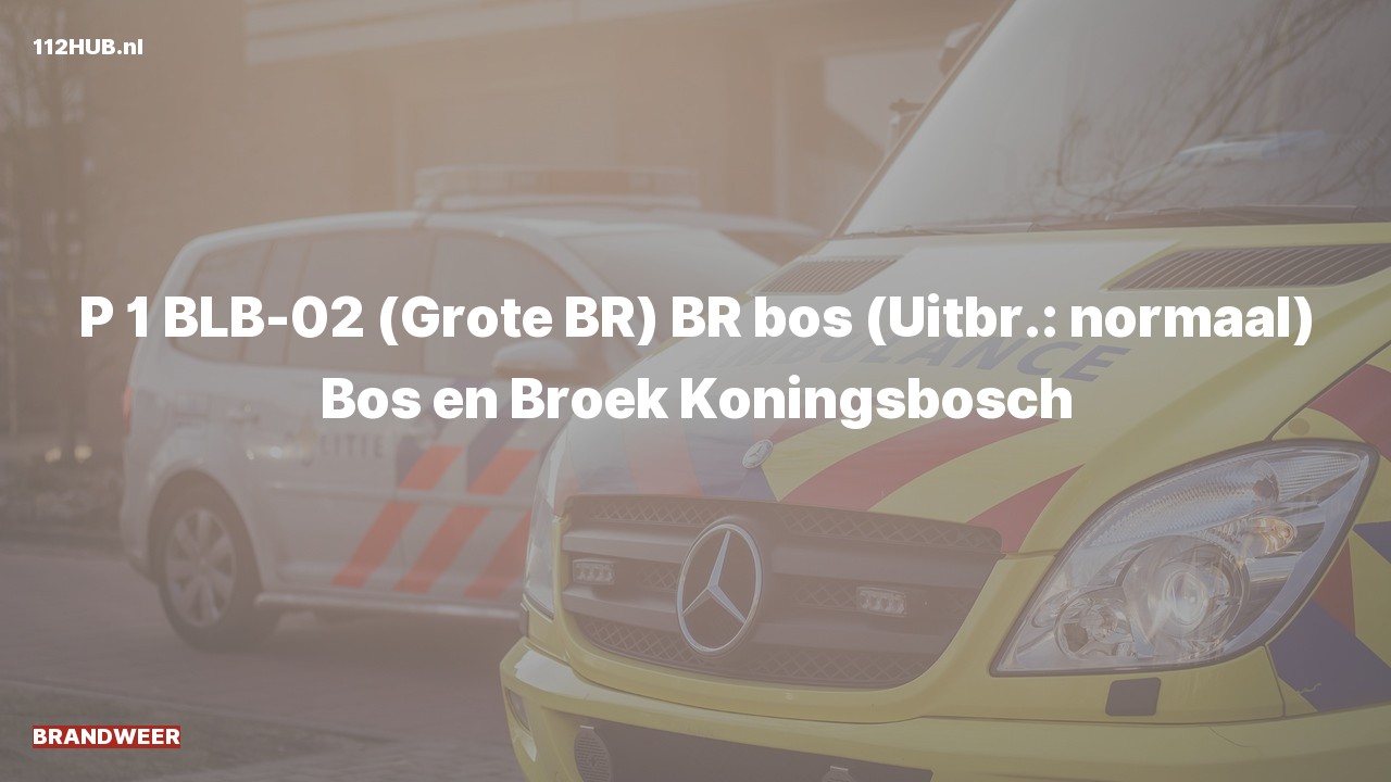 Deelafbeelding voor P2000-melding.