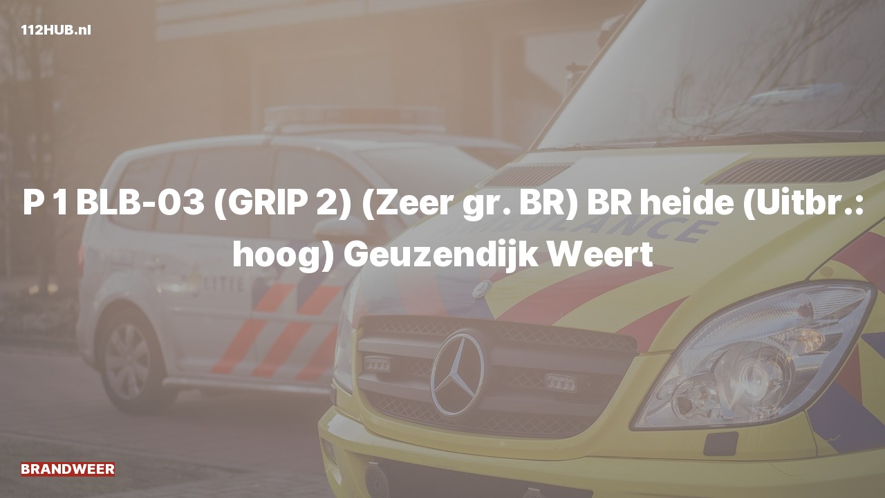 Deelafbeelding voor Brandweer met spoed naar de Geuzendijk in Weert.
