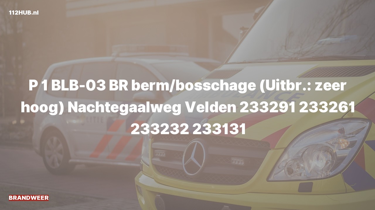 Deelafbeelding voor Brandweer met spoed naar de Nachtegaalweg in Velden.