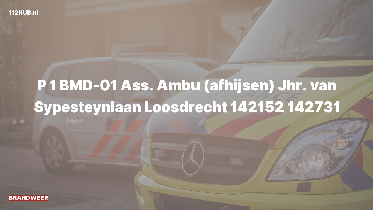 Deelafbeelding voor Brandweer met spoed voor afhijsen naar de Jhr. van Sypesteynlaan in Loosdrecht.