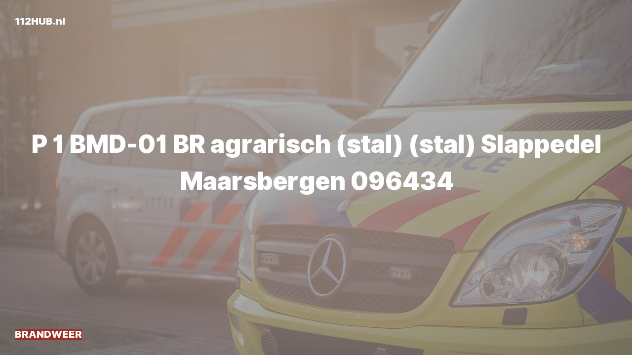 Deelafbeelding voor Brandweer met spoed naar de Slappedel in Maarsbergen.