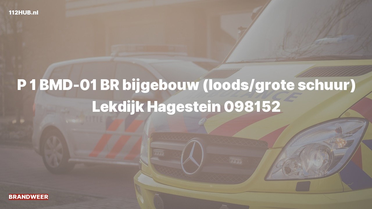 Deelafbeelding voor Brandweer met spoed naar de Lekdijk in Hagestein.