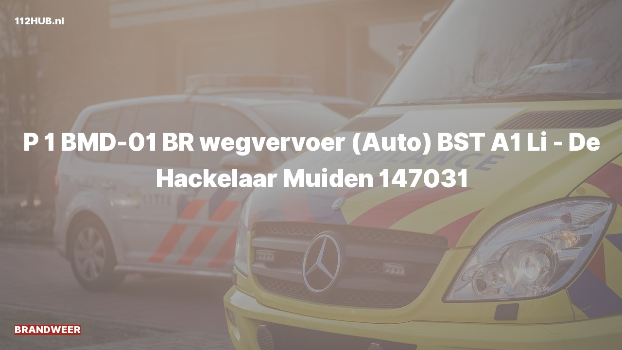 Deelafbeelding voor Brandweer met spoed.
