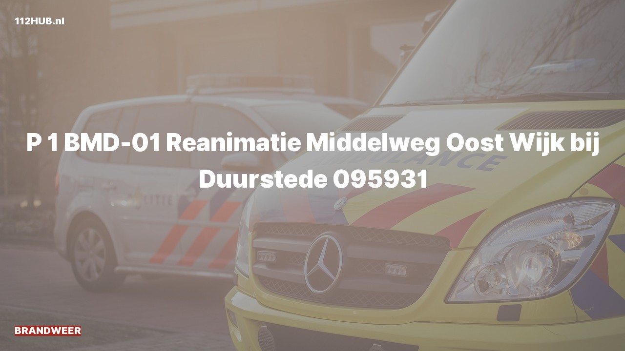 Deelafbeelding voor Brandweer met spoed naar de Middelweg Oost in Wijk bij Duurstede.