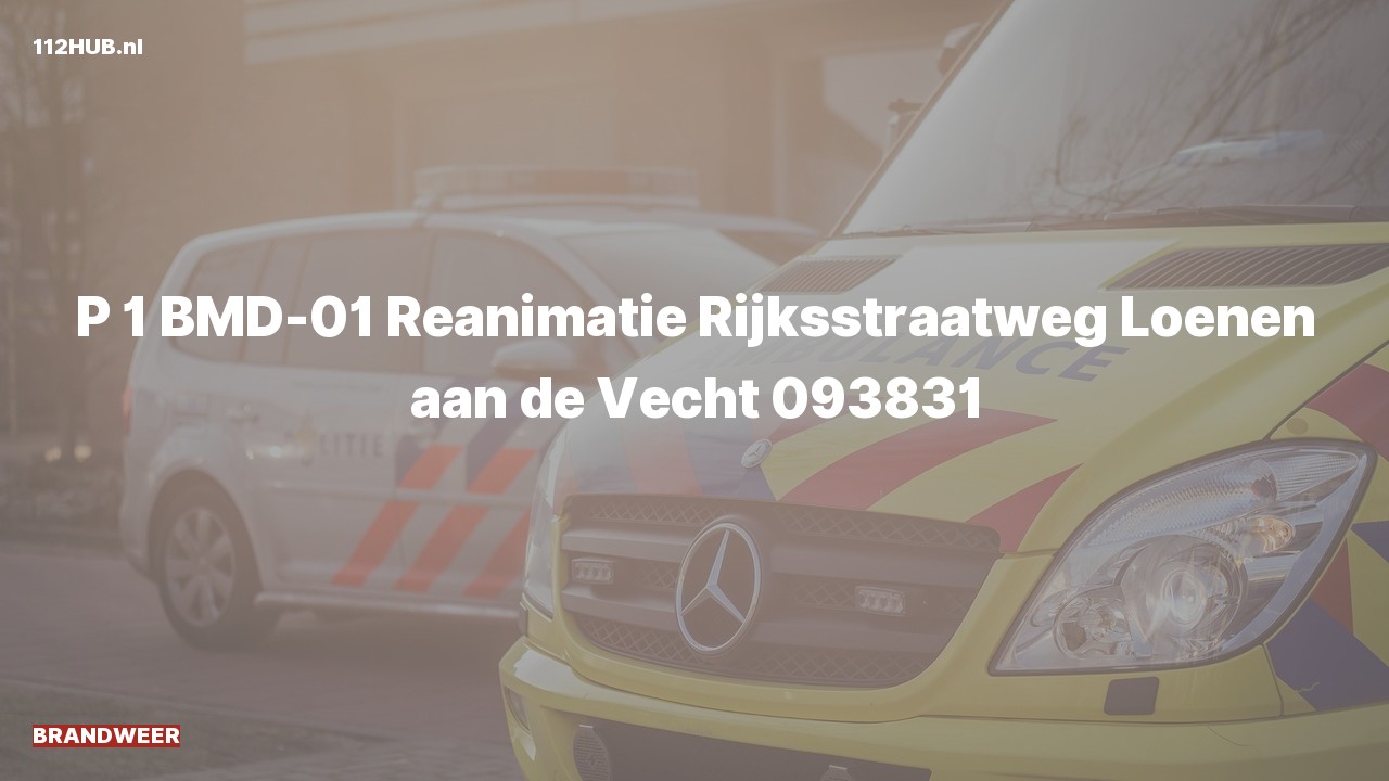 Deelafbeelding voor Brandweer met spoed naar de Rijksstraatweg in Loenen aan de Vecht.