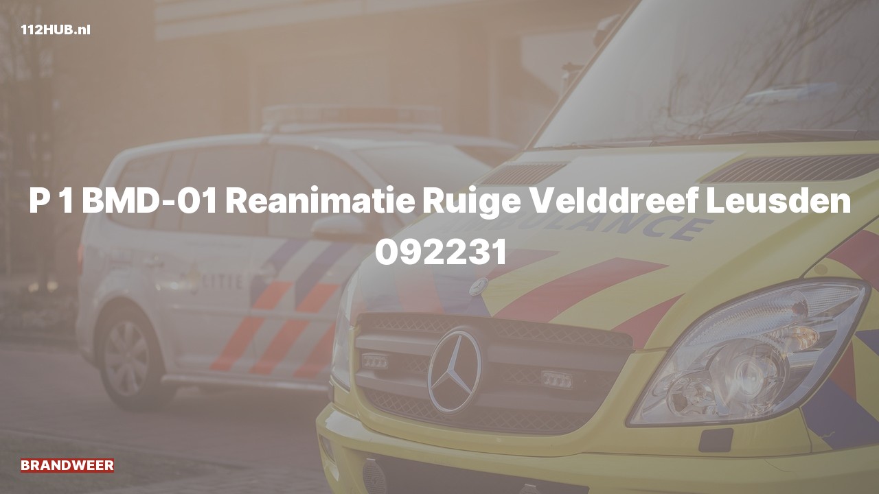 Deelafbeelding voor Brandweer met spoed naar de Ruige Velddreef in Leusden.
