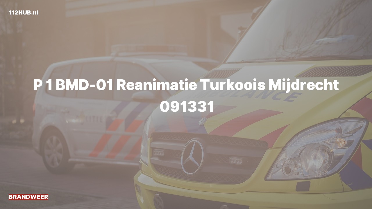 Deelafbeelding voor Brandweer met spoed naar de Turkoois in Mijdrecht.