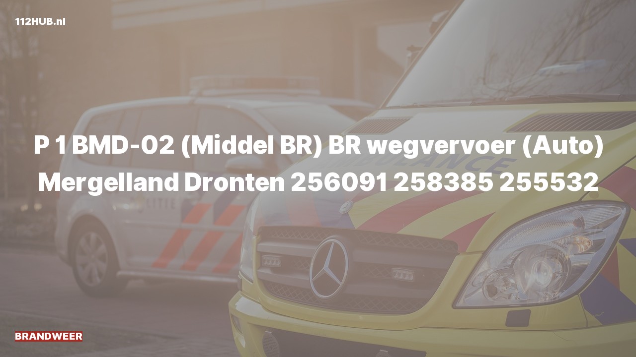 Deelafbeelding voor Brandweer met spoed naar de Mergelland in Dronten.