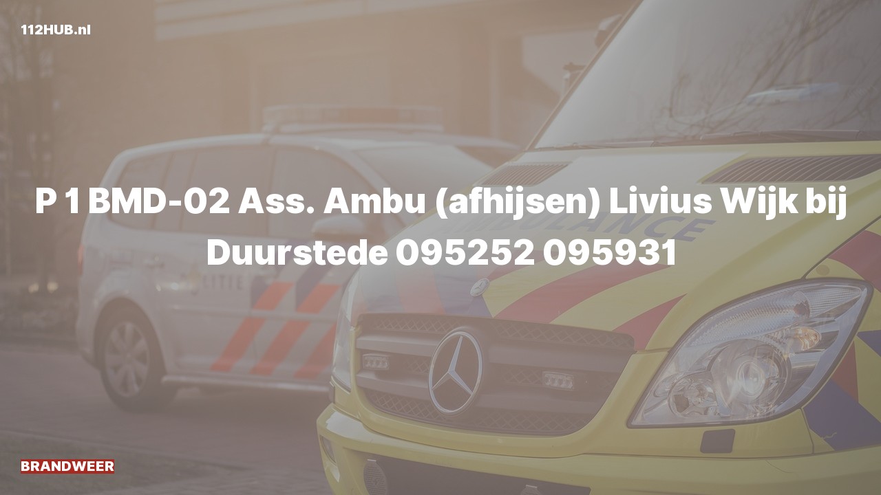 Deelafbeelding voor Brandweer met spoed voor afhijsen naar de Livius in Wijk bij Duurstede.