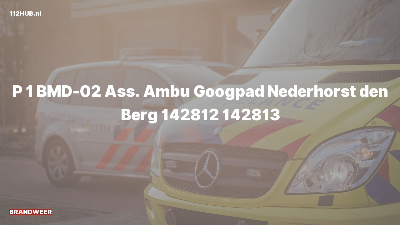 Deelafbeelding voor Brandweer met spoed voor ambulance-assistentie naar de Googpad in Nederhorst den Berg.