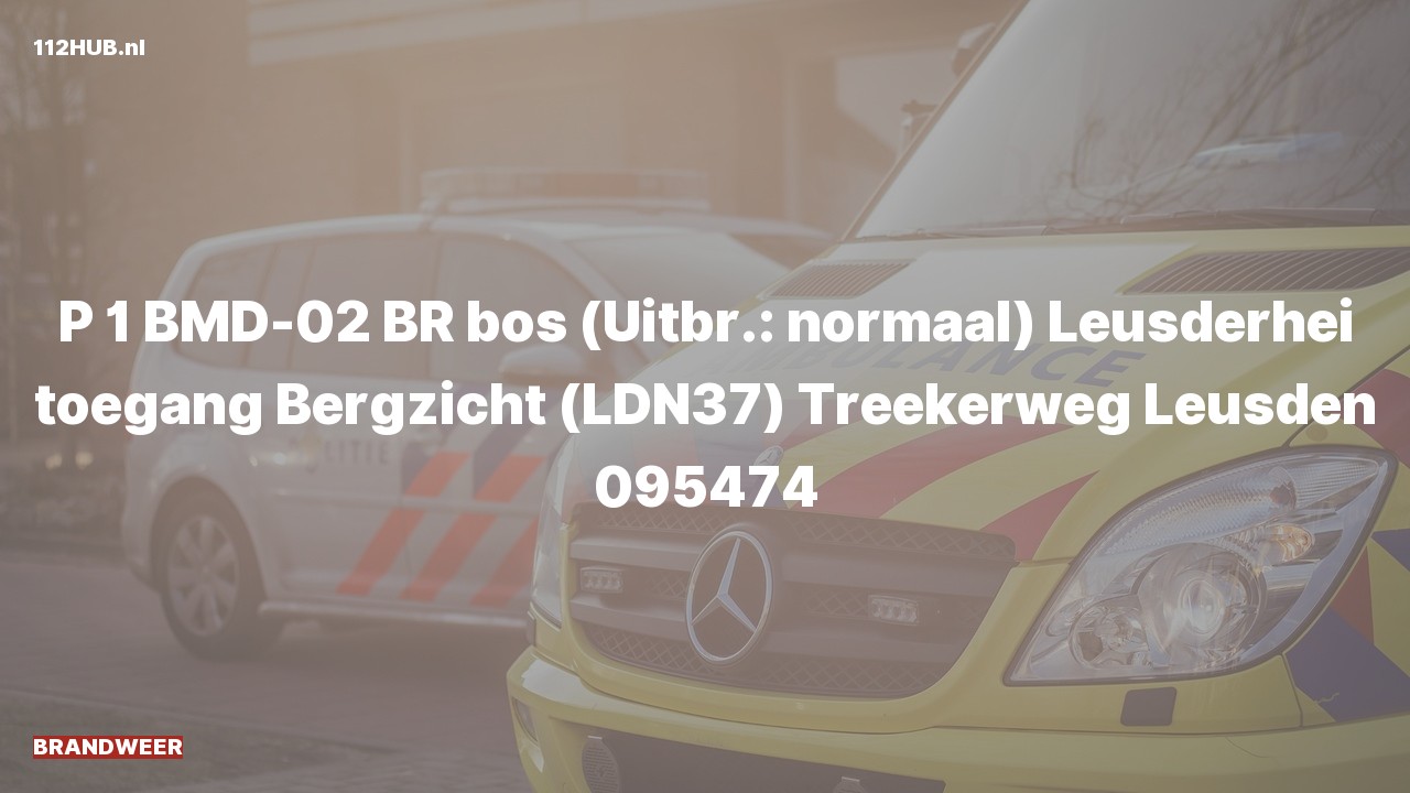 Deelafbeelding voor Brandweer met spoed naar de Treekerweg in Leusden.