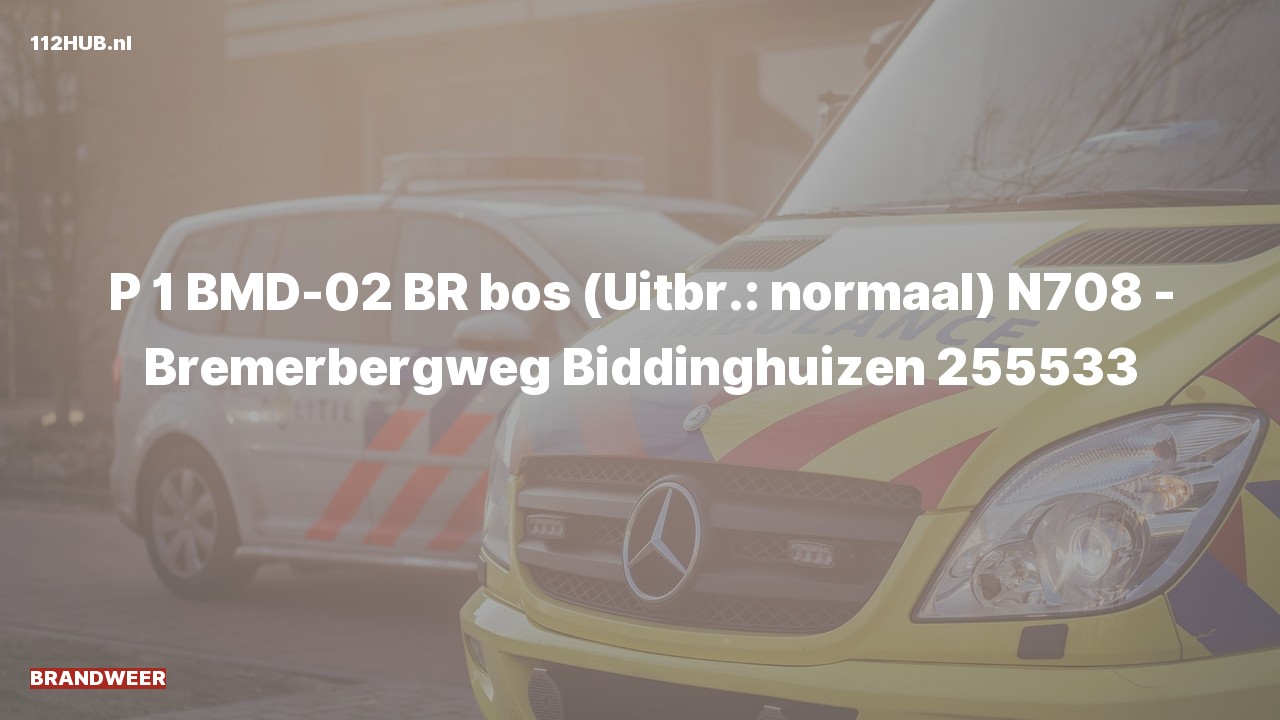 Deelafbeelding voor Brandweer met spoed naar de Bremerbergweg in Biddinghuizen.