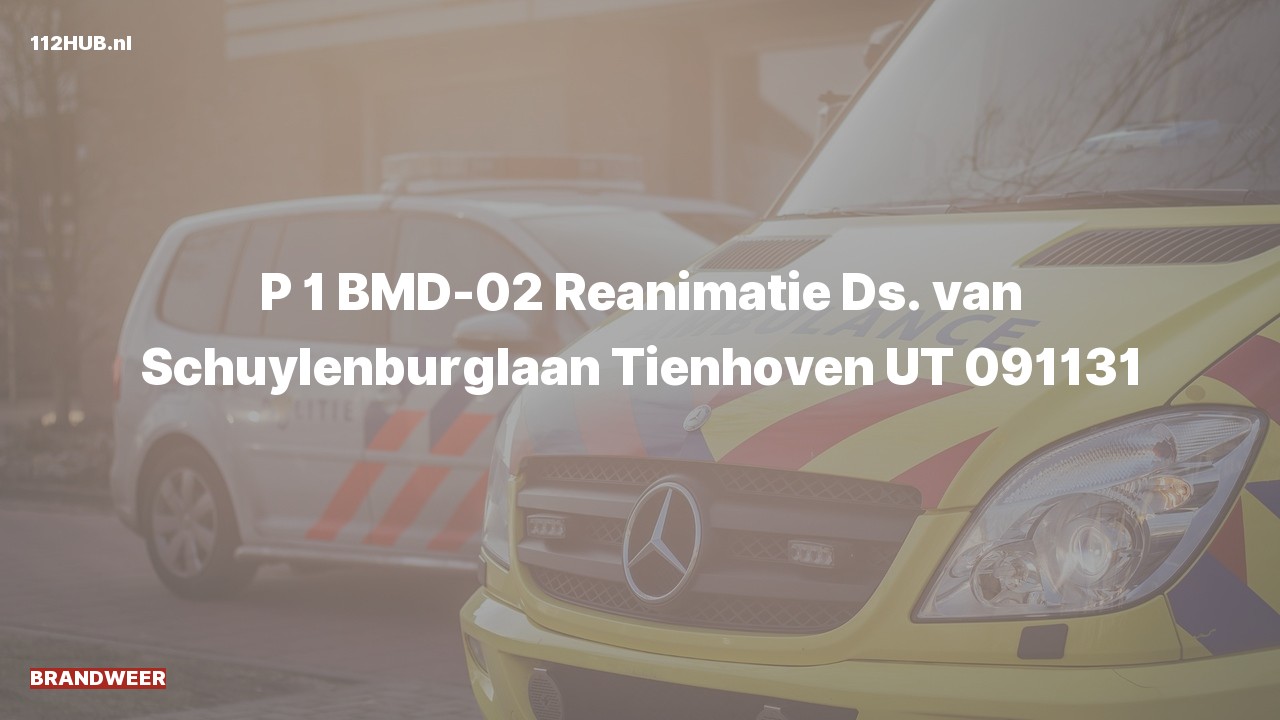 Deelafbeelding voor Brandweer met spoed naar de Ds. van Schuylenburglaan in Tienhoven.