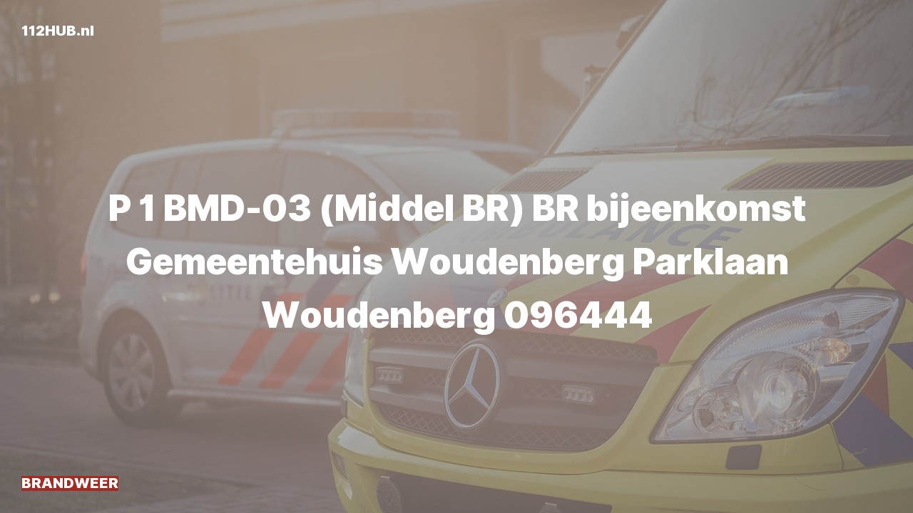 Deelafbeelding voor Brandweer met spoed naar de Parklaan in Woudenberg.