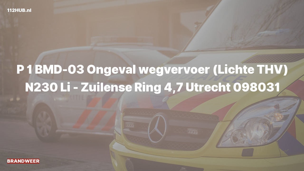 Deelafbeelding voor Brandweer met spoed voor verkeersongeval op de N230 bij hectometerpaaltje 4.7.