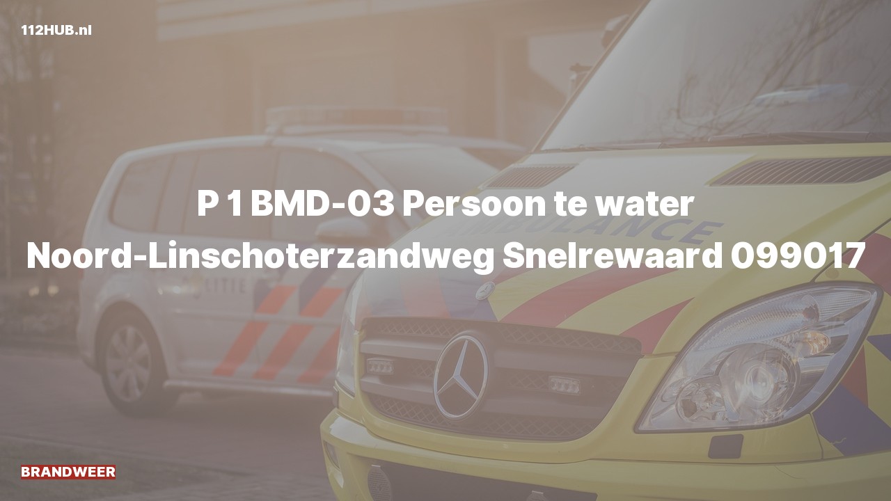 Deelafbeelding voor De brandweer is met spoed uitgerukt voor een persoon te water naar de Noord-Linschoterzandweg in Snelrewaard
