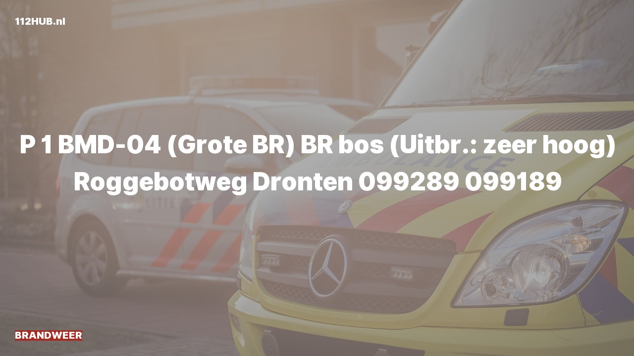 Deelafbeelding voor Brandweer met spoed naar de Roggebotweg in Dronten.